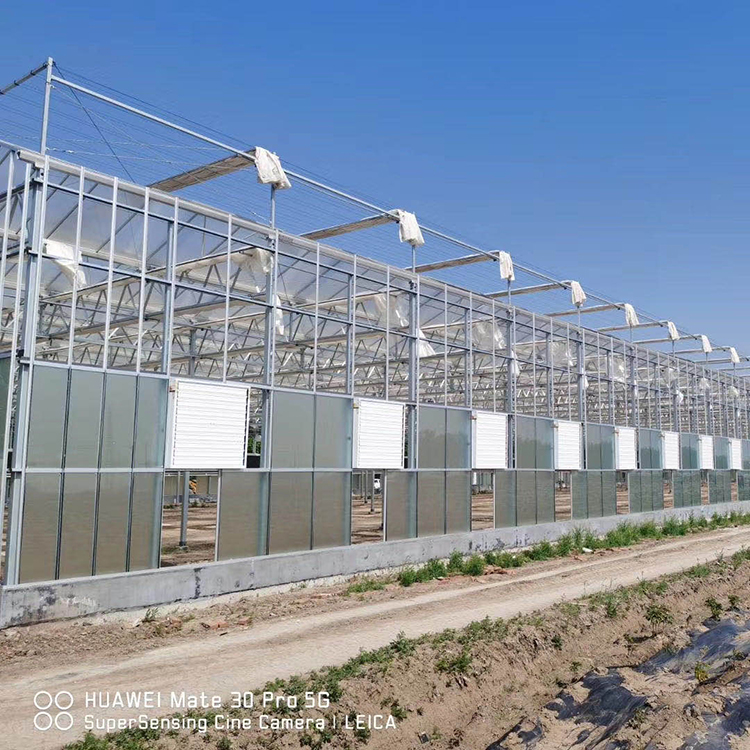 玻璃温室工程 建造速度快 山东种植大棚施工