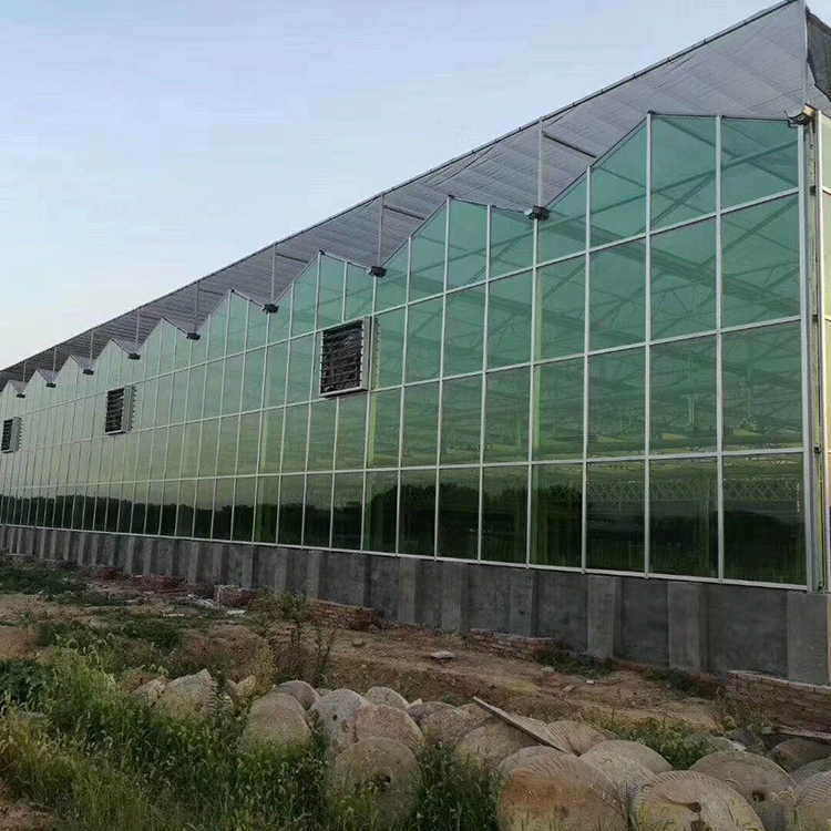 玻璃温室建设 山东玻璃温室大棚 工程质量保证
