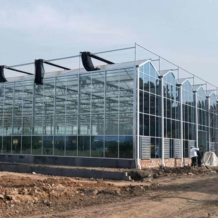 建造速度快 玻璃温室大棚 山东玻璃温室造价