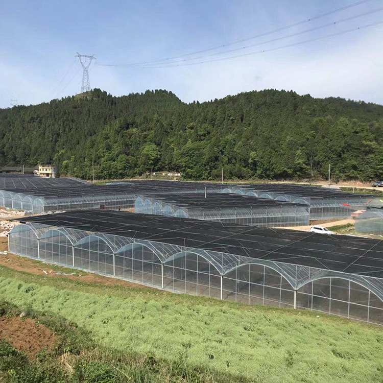 连栋温室大棚 真材实料 山东连栋温室大棚建造