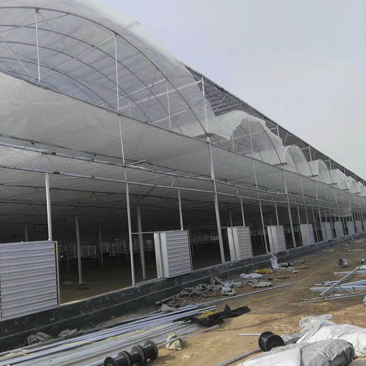 薄膜温室 温室工程公司 山东薄膜温室建设