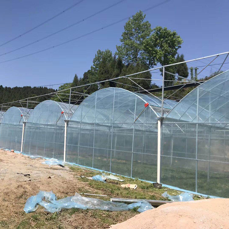 连栋薄膜温室承建商 山东连栋薄膜温室 温室工程公司