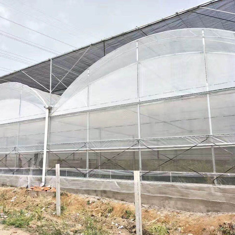 连栋温室大棚 上门搭建 青州连栋温室大棚安装设计