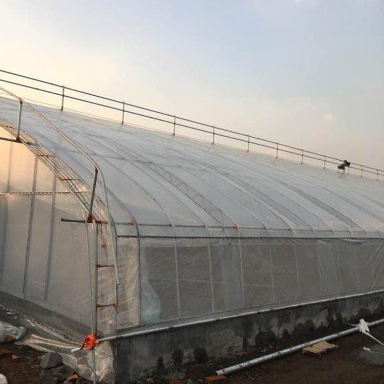 蔬菜大棚造价 实地测量 设计安装 青州蔬菜大棚