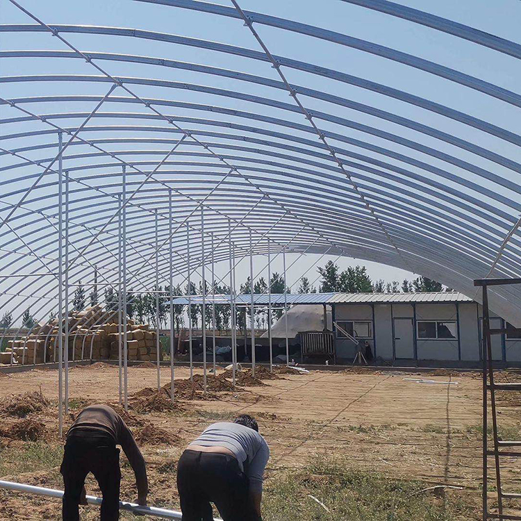 真材实料 单体花卉大棚 单体花卉大棚建造