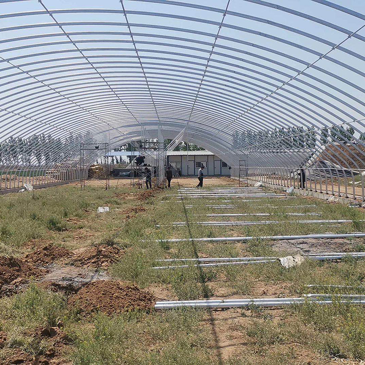 单体花卉大棚 温室工程公司建设 山东单体花卉大棚造价