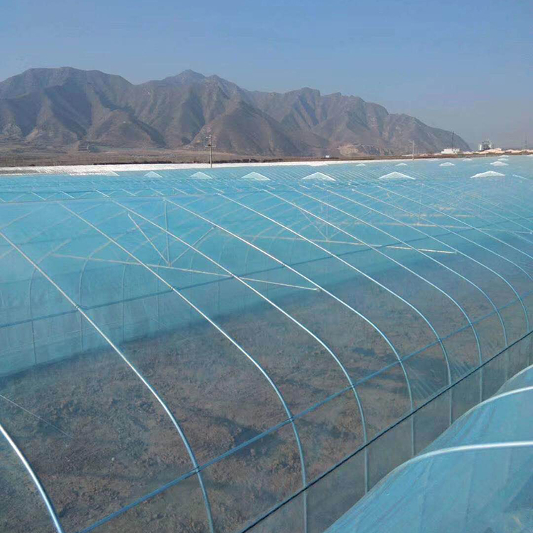花卉简易大棚 免费测量 青州花卉简易大棚建造