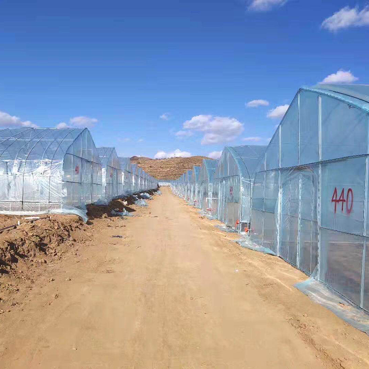 热镀锌框架单体大棚 设计安装 青州单体大棚测量