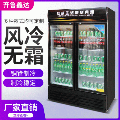 厂家直销啤酒柜-双门啤酒柜-啤酒展示柜报价