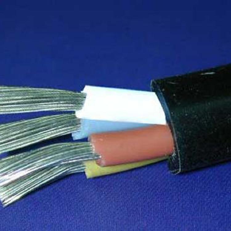上海南洋  轨道交通车辆用电缆DCEYHR 3000V 70 可靠性高 使用寿命长 欢迎订购