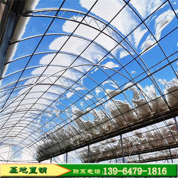 育苗玻璃温室建造价格 连体温室大棚双供双膜 温室工程生产制造商