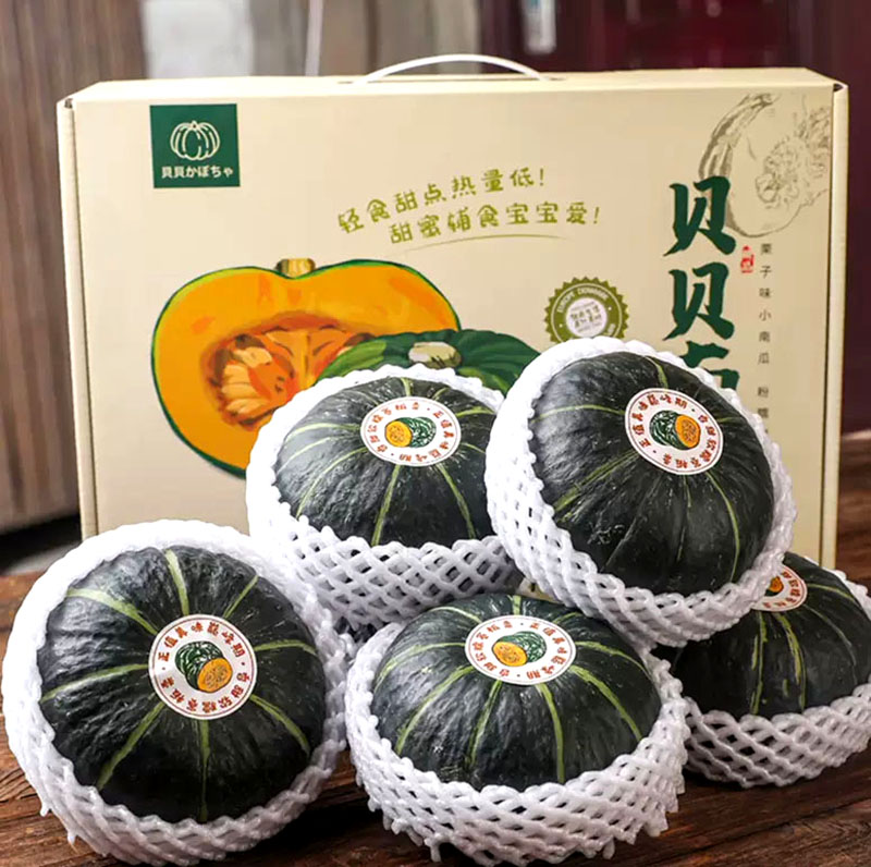 贝贝南瓜板栗南瓜日本小南瓜贝贝南瓜礼盒装基地直供电商一件代发