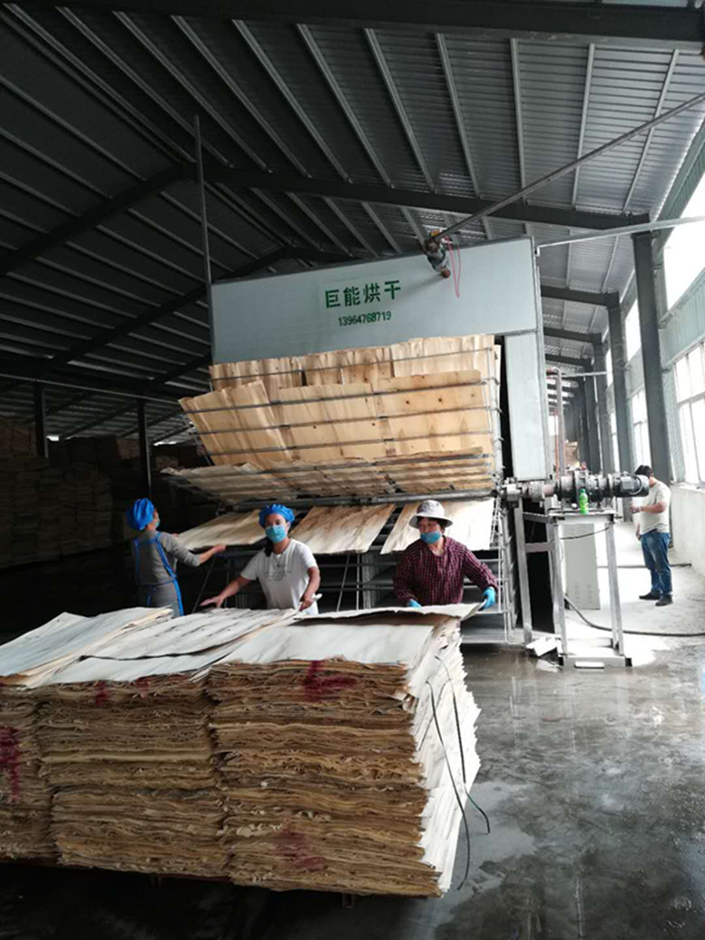 单板烘干设备-板材单板烘干线-自动单板烘干设备-导热油烘干设备