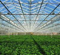 西安温室大棚_蔬菜大棚_养殖温室_植物栽培大棚_陕西温室大棚厂家