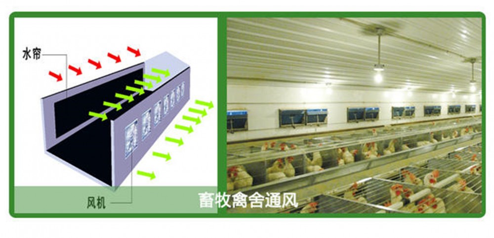 厂家直销 养殖场  鸡棚 鸭舍 猪棚专用 通风水帘