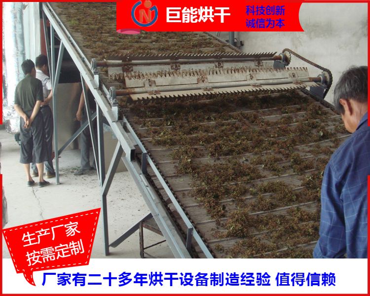网带烘干机-果蔬带式干燥机