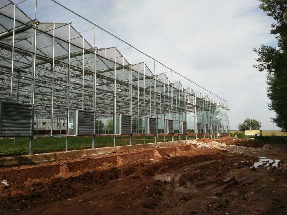 智能温室大棚建设 连栋大棚温室 温室大棚工程