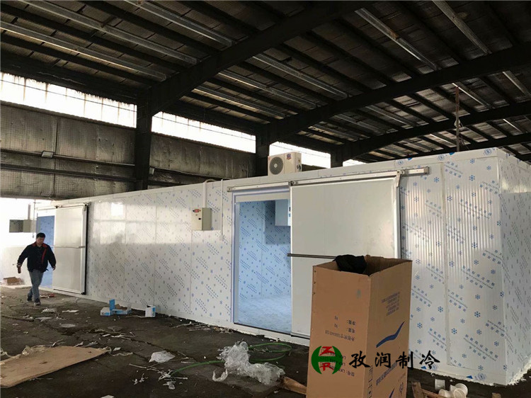 板栗冷冻冷藏冷库-
