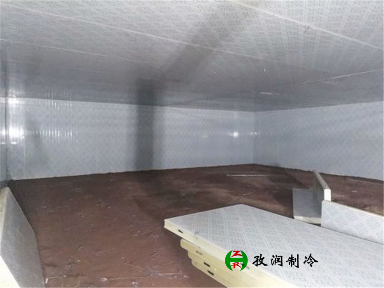 桐城###食品冷库-节能省电-高低温冷库定做-组合式冷库