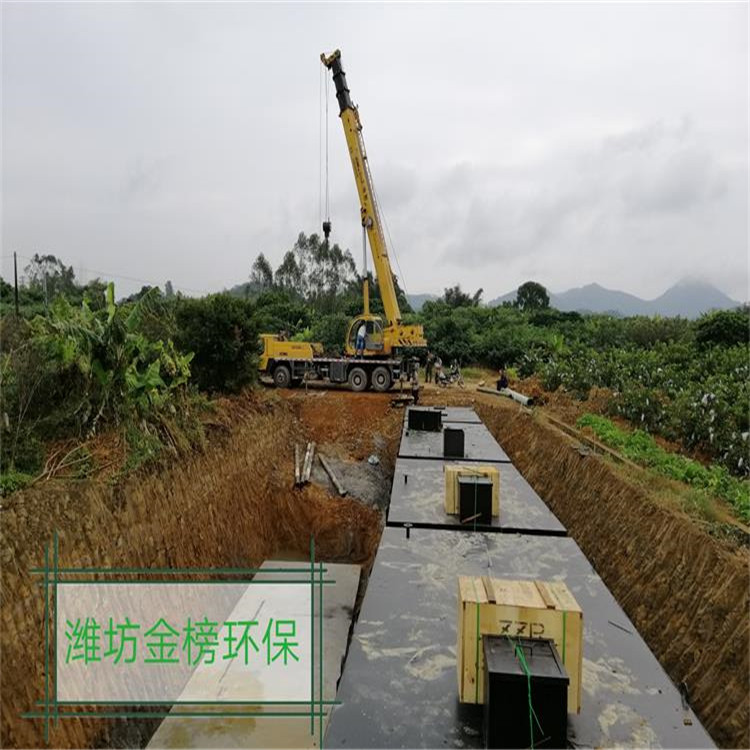 可定制印染污水处理设备  金榜印染污水处理设备好品质  价格好公道