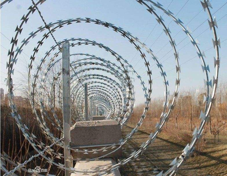 刺丝滚笼监狱防爬防护刀片刺丝围墙防盗铁路公路机场刺丝滚笼