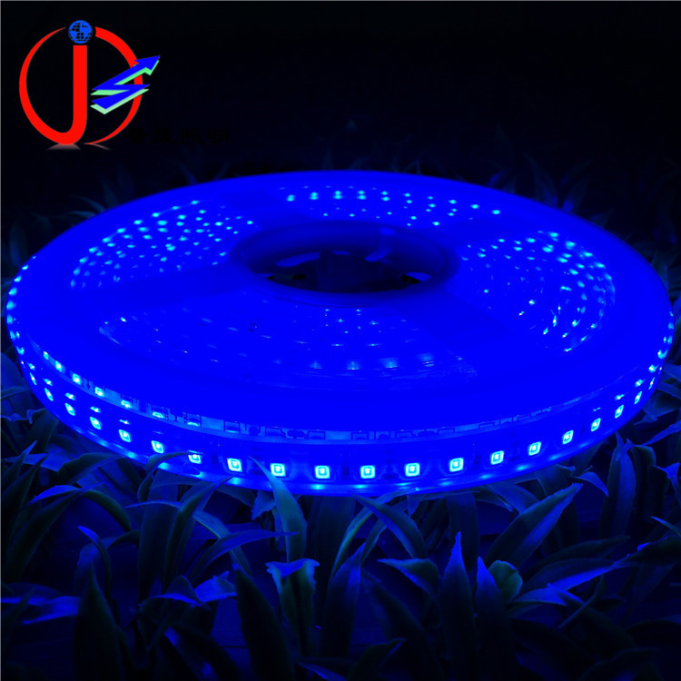 批发12V低压IP68灌胶防水LED灯带DC12V120灯户外游泳池水用2835灯带