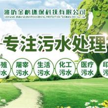 无阀过滤器地表水净化水处理设备金榜环保