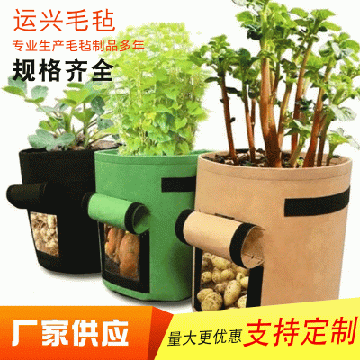 新款番薯土豆育苗毛毡种植桶 草莓西红柿植物生长种植袋批发