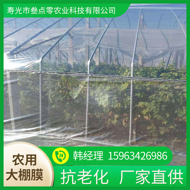 山东大棚膜西红柿专用膜PO膜厂家