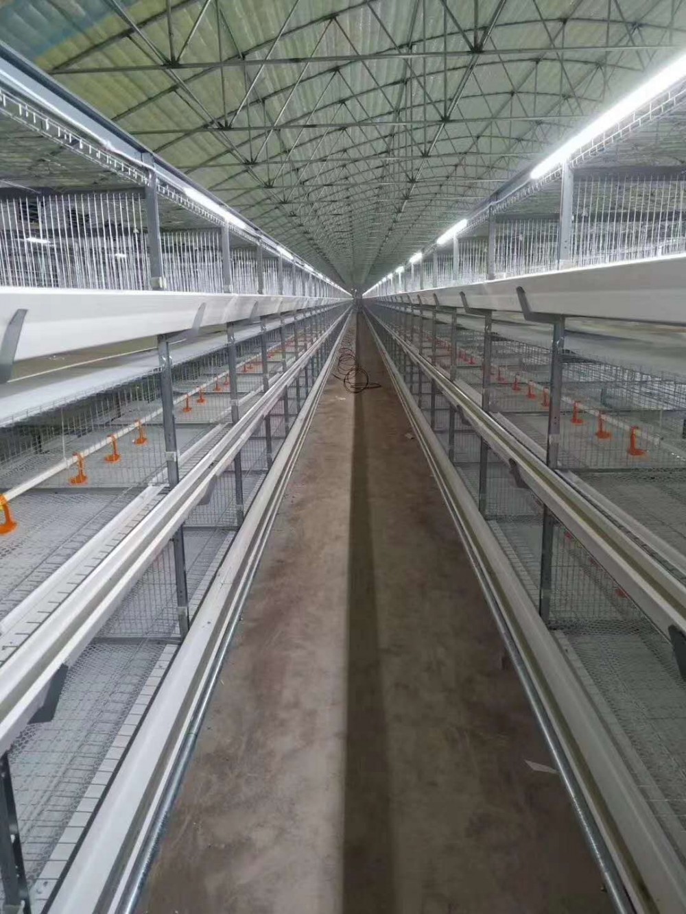 肉鸡笼养设备 框架肉鸡笼  元宝架肉鸡笼  自动化清粪鸡笼