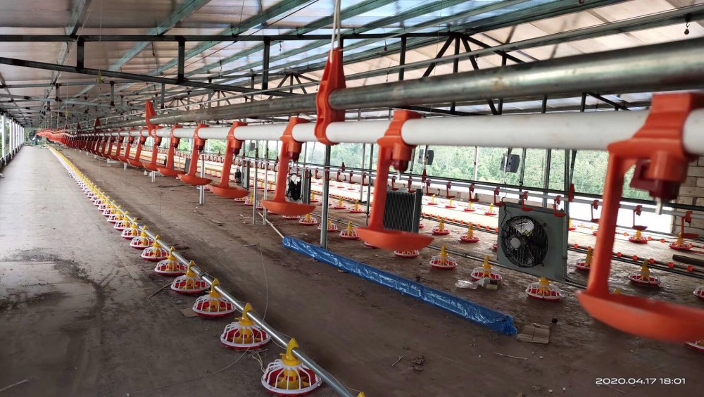 山东富博供应 自动喂料 绞龙  控料器 养鸡水线 小鸡喂料机