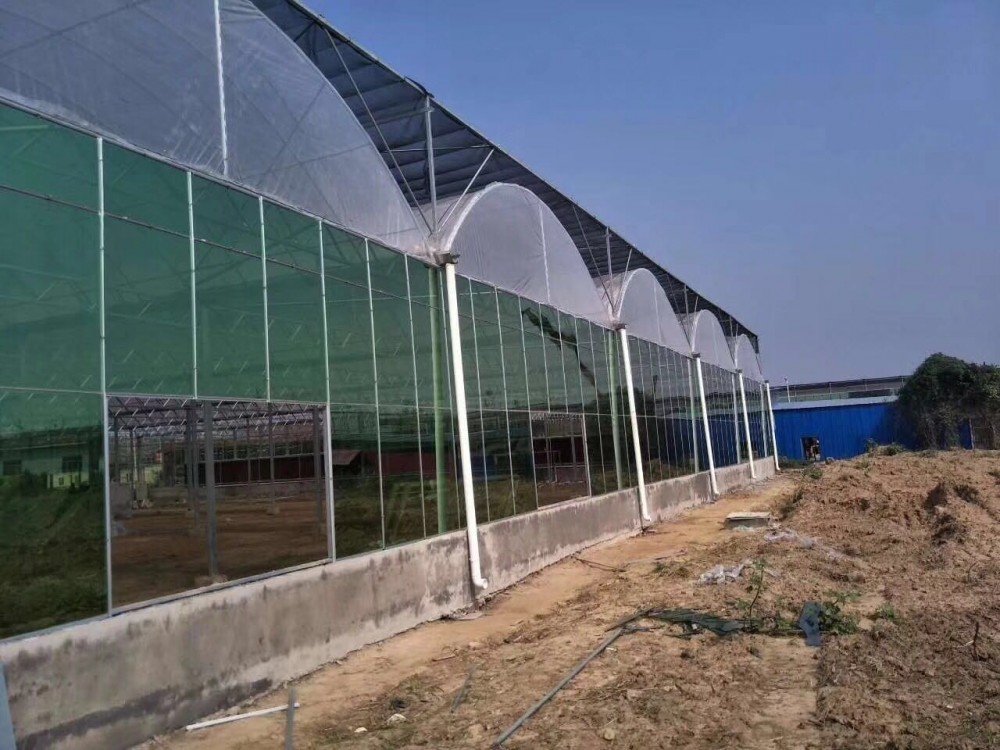 承建智能温室大棚 连栋温室大棚 温室大棚定制
