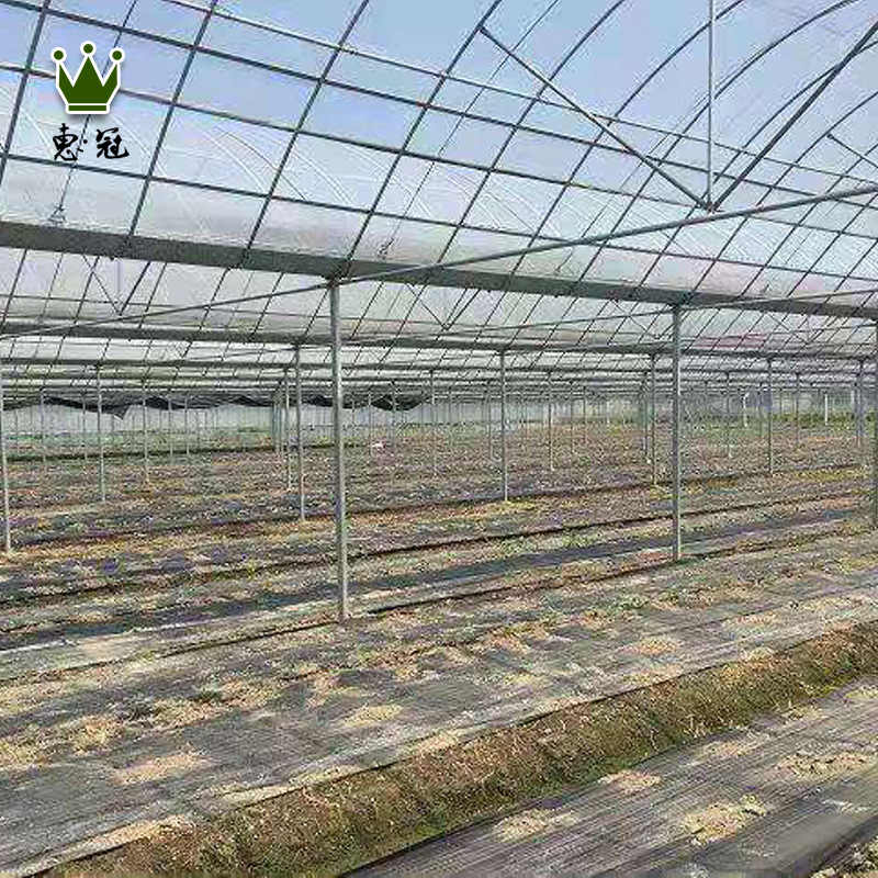 定制葡萄大棚 经久耐用 葡萄大棚 性价比高 质量可靠