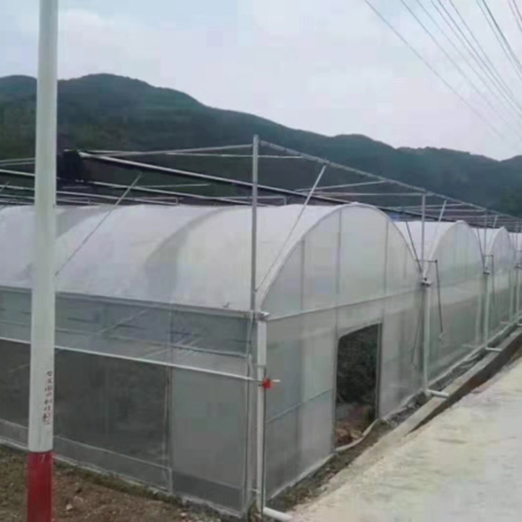无土栽培温室报价按需定制
