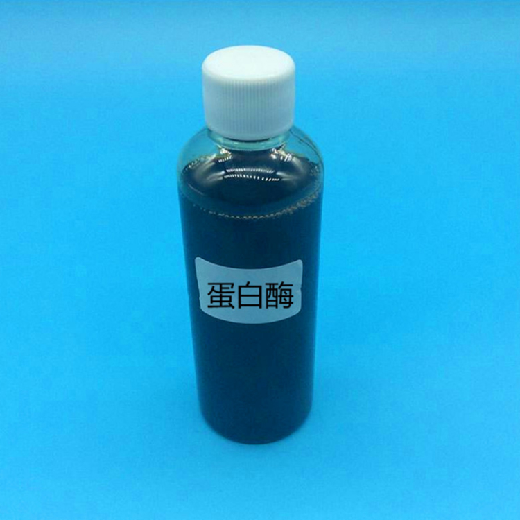 蛋白酶 去除血渍汗渍蛋白污渍粉状碱性蛋白酶 洗涤专用现货供应