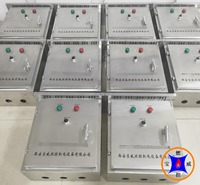 全自动填埋沼气火炬点火小型填埋场沼气点火