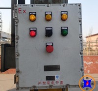 BWRK-12工业垃圾填埋厂太阳能火炬自动点火控制箱