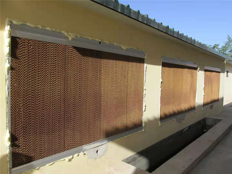 畜牧养殖场降温设备 水帘墙 风机水帘 金吉农牧