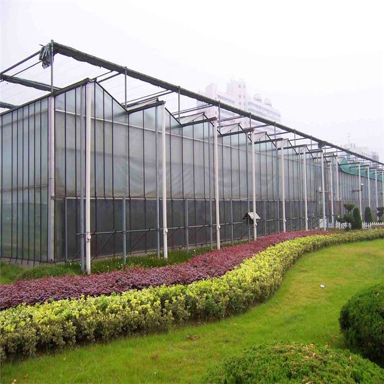 智能温室大棚厂家承建 温室大棚定制