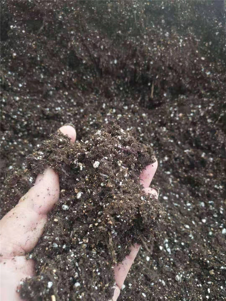 营养基质售后有保障  营养基质销售  大量供应