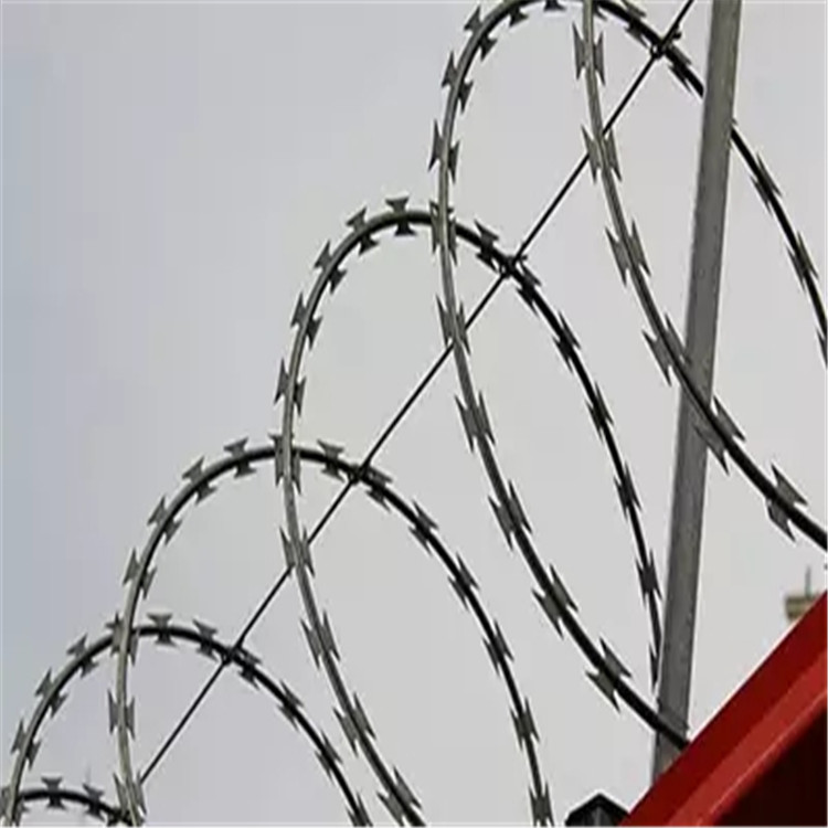 刀片刺绳供应 镀锌刺丝滚笼围墙防爬刺铁丝网 飞腾 刀片刺绳