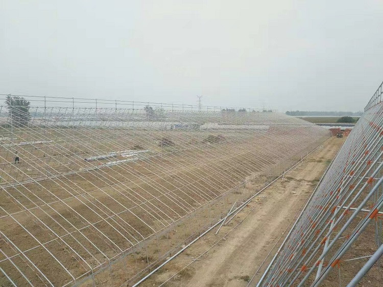 暖棚日光温室大棚日光温室厂家 恒丰温室