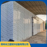 冷库全套设备设计安装工程 郑州中小型保鲜冷库价格 厂家直销 品质保证