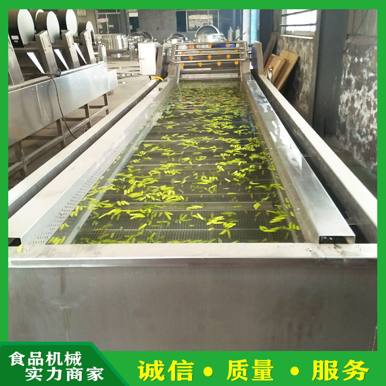 全自动厂家定制鼓泡式清洗机 木耳泡发气泡清洗机 海产品清洗漂烫生产线