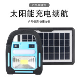 太阳能灯 大容量小身材 太阳能灯厂家直供
