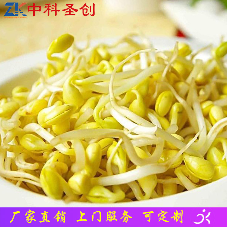 大理全自动豆芽机 自动上水12盒豆芽机 豆芽机生产厂家