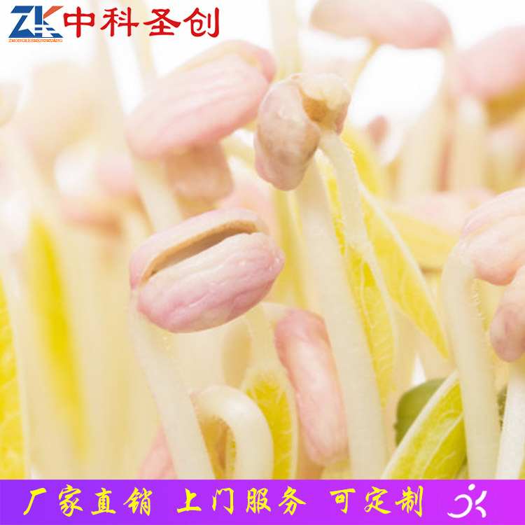 怒江全自动花生芽机 食品级304不锈钢材质 16盒豆芽机
