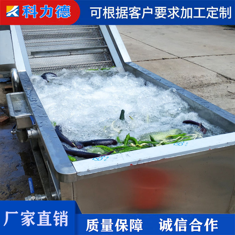 酱菜咸菜酸菜脱盐清洗机 青椒豆角蔬菜清洗机 多功能气浴翻浪清洗设备生产厂家