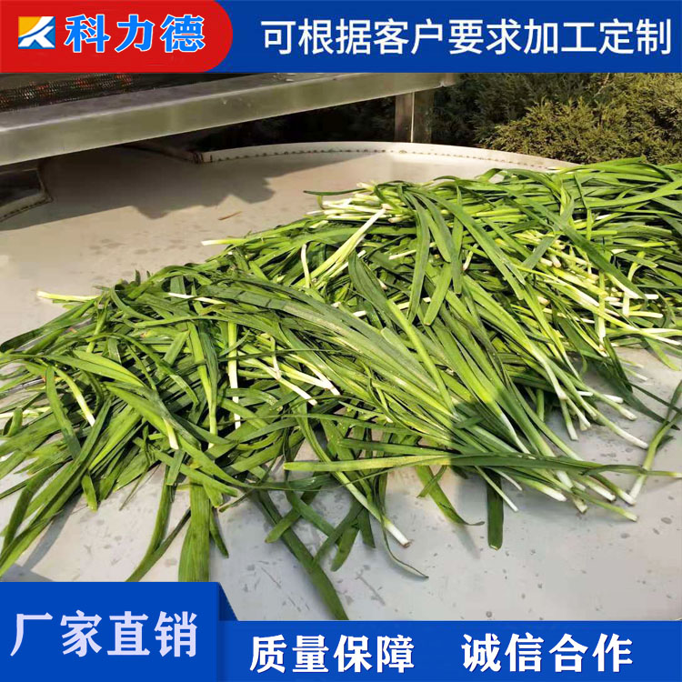 科力德牌萝卜条脱盐机 海带丝浸泡脱盐清洗机 不锈钢海带脱盐机 泡菜脱盐清洗设备