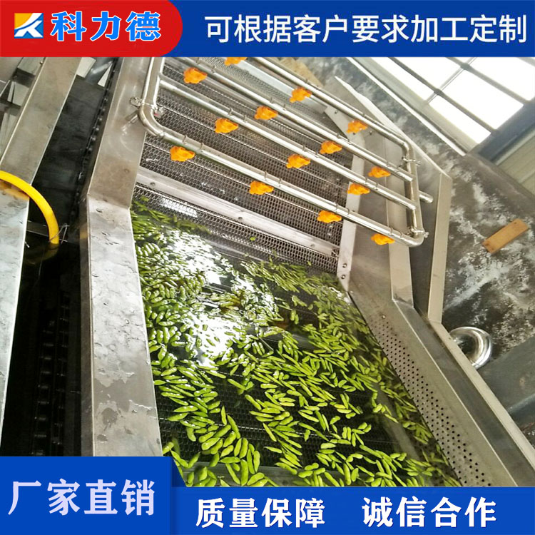 酱菜脱盐鼓泡清洗机 脱盐清洗流水线价格 腌渍类脱盐设备 枸杞加工清洗机诸城生产商